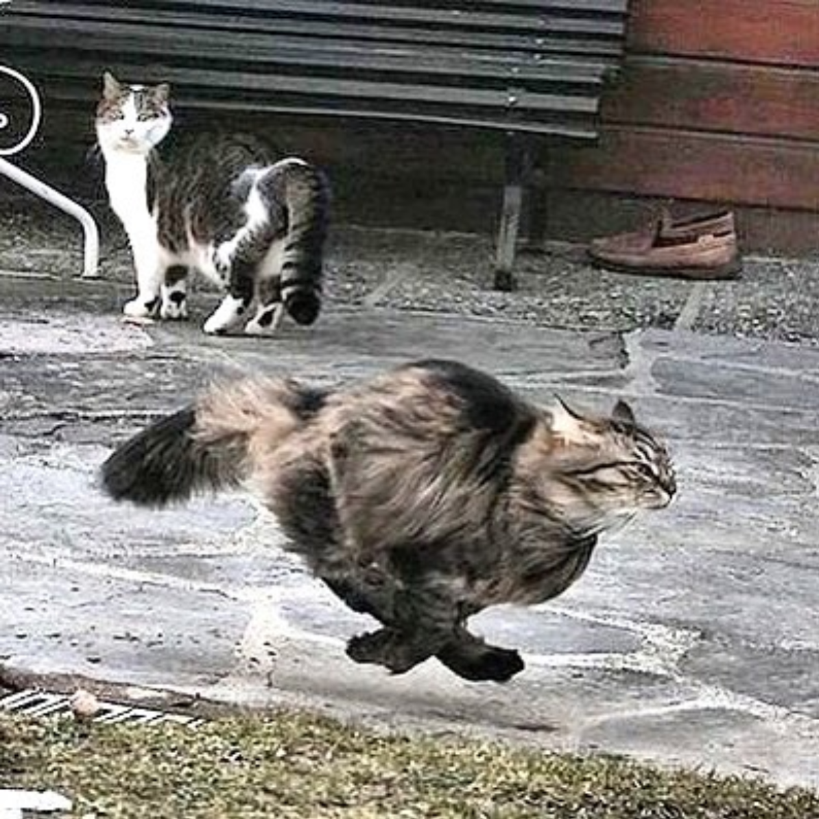 Бегу домой с работы