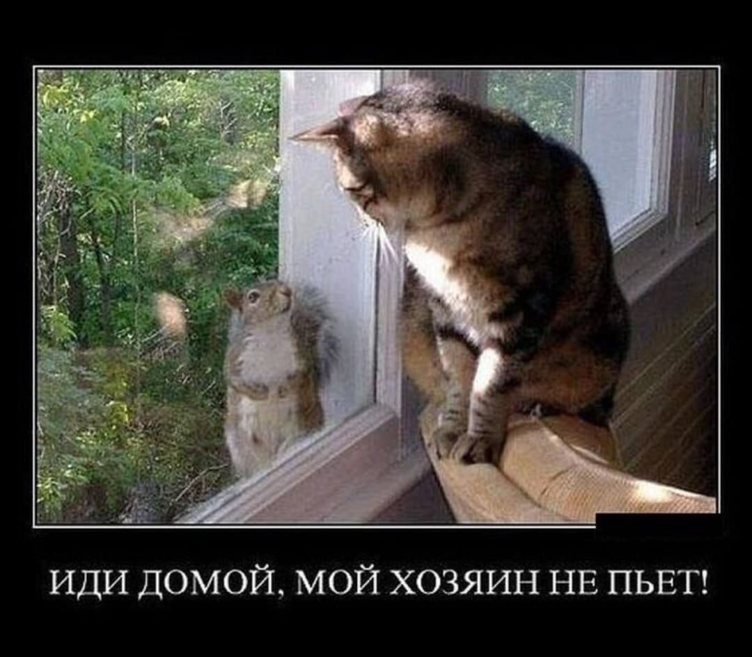 Хозяин отпусти домой