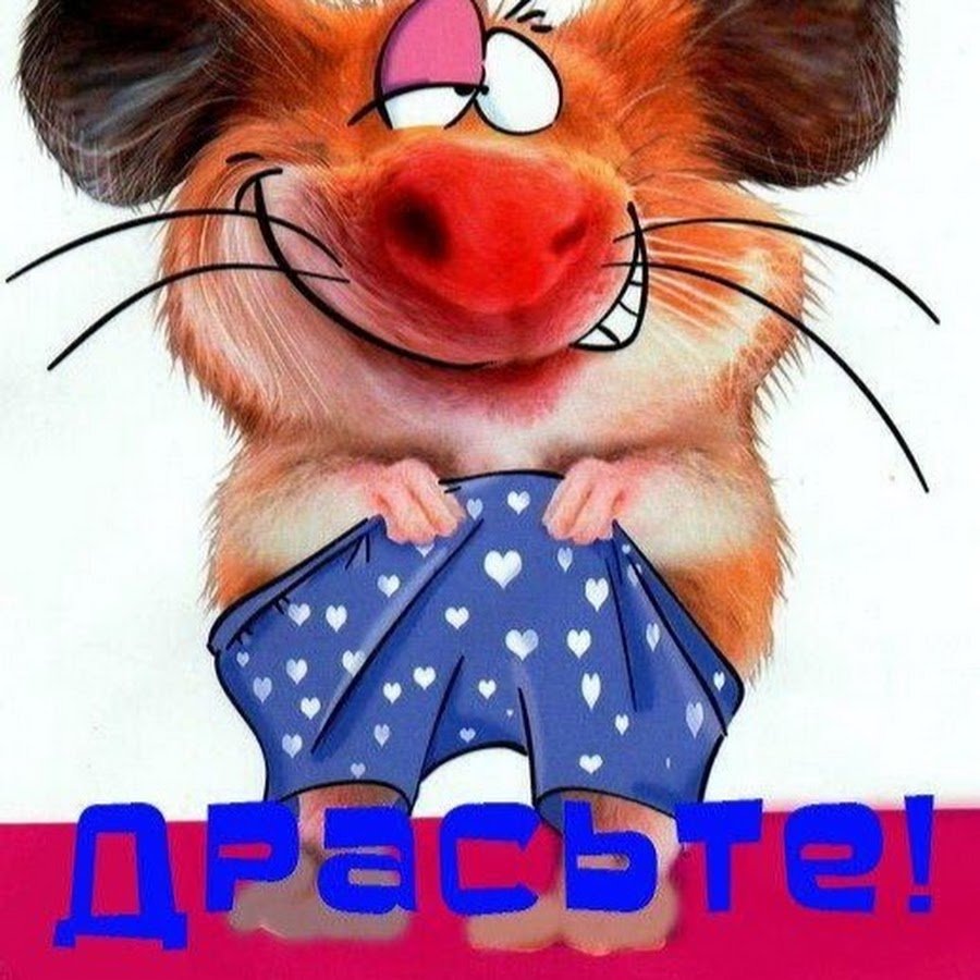 Весёлые открытки для поднятия настроения