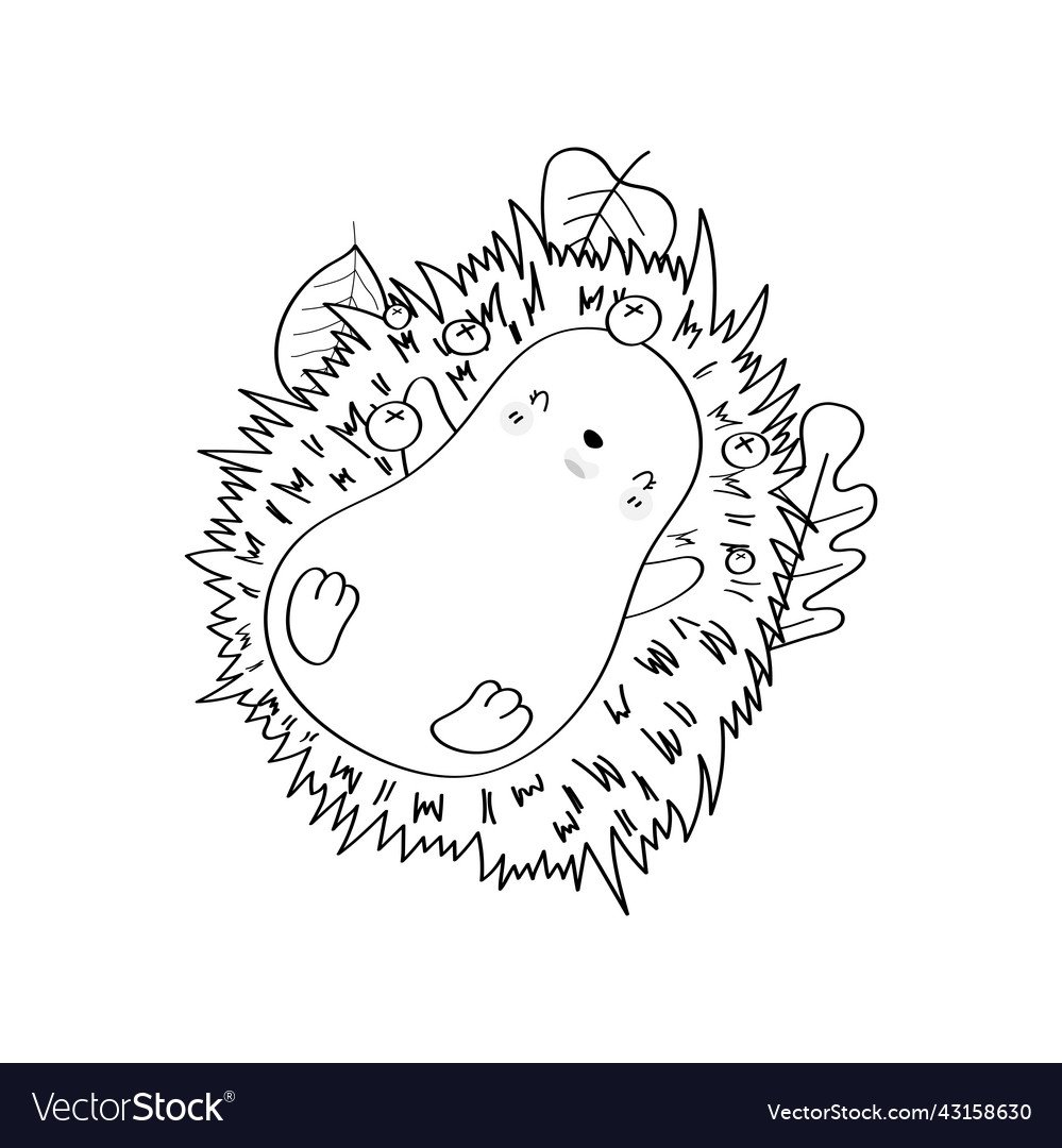 Ежик вектор