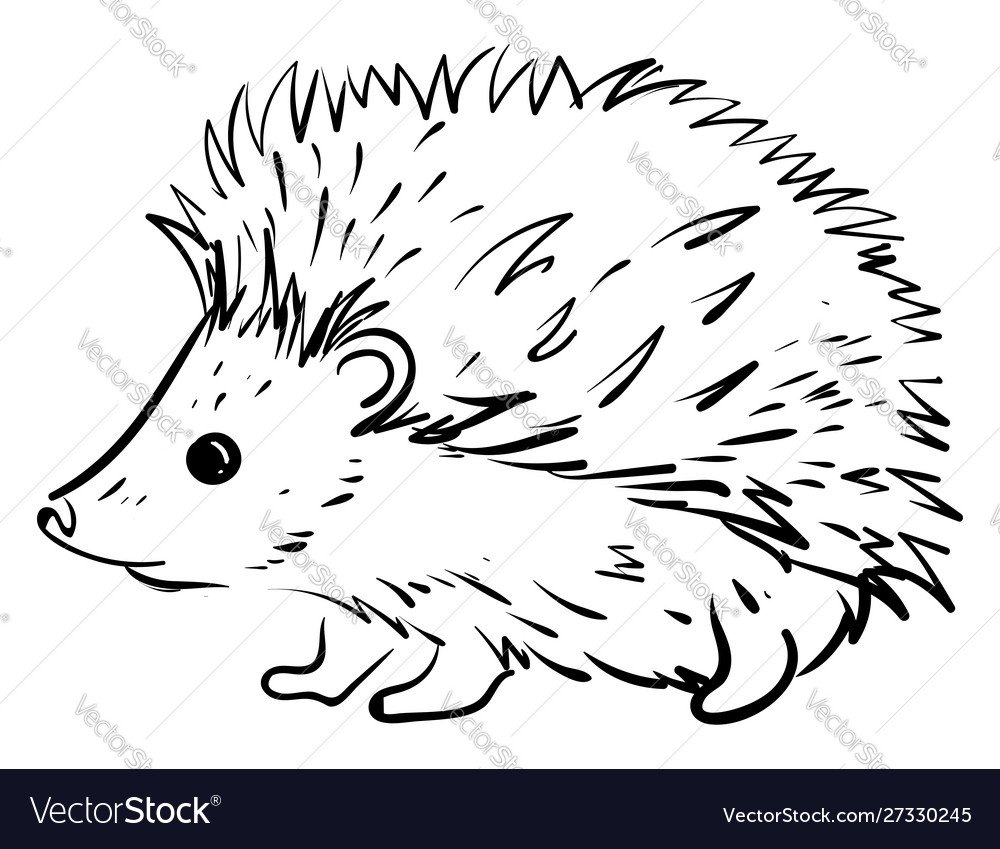 Логотип ежа