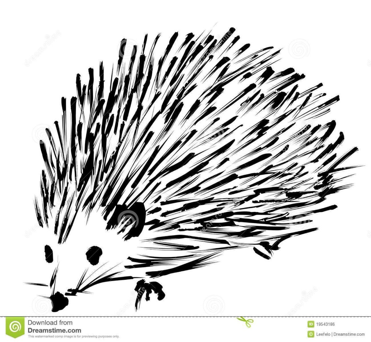 Ежик вид сбоку рисунок
