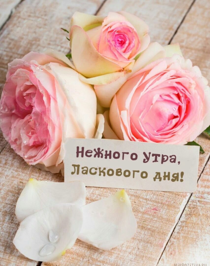 Поздравление с именинами Антонины