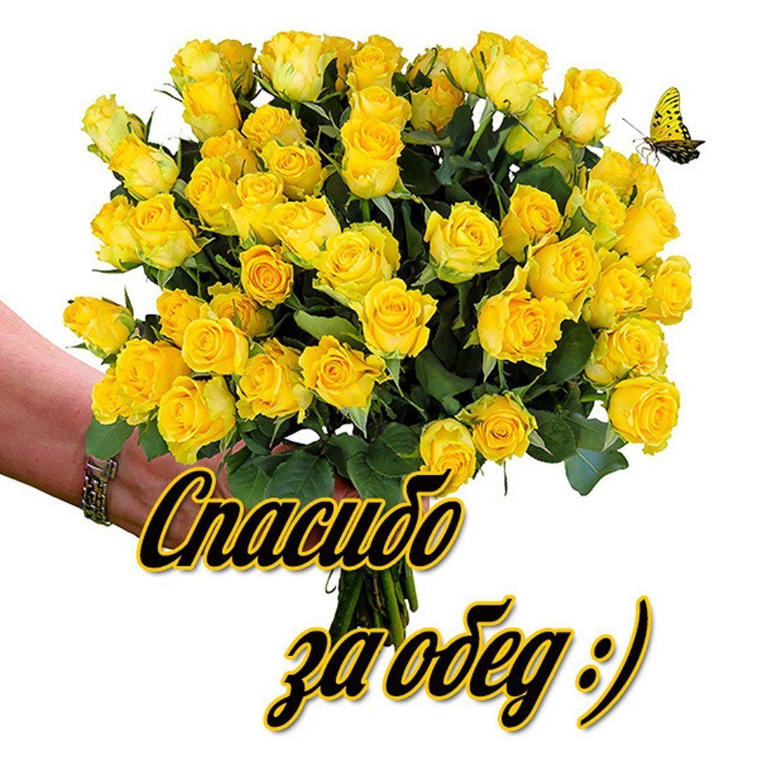 Спасибо за обед