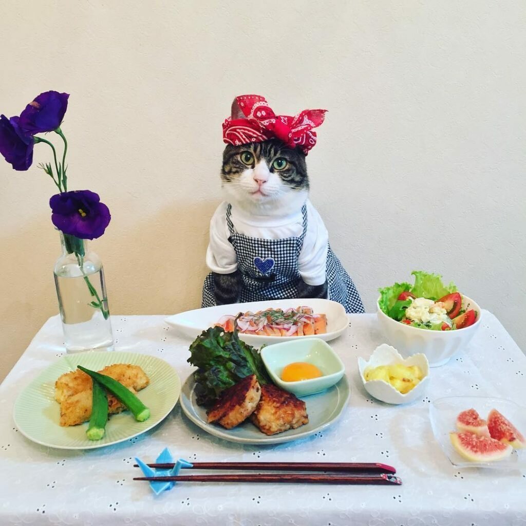 Котик за столом