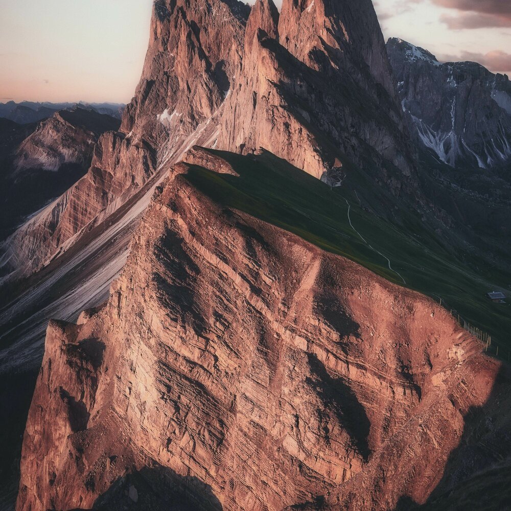 Лето пальмы