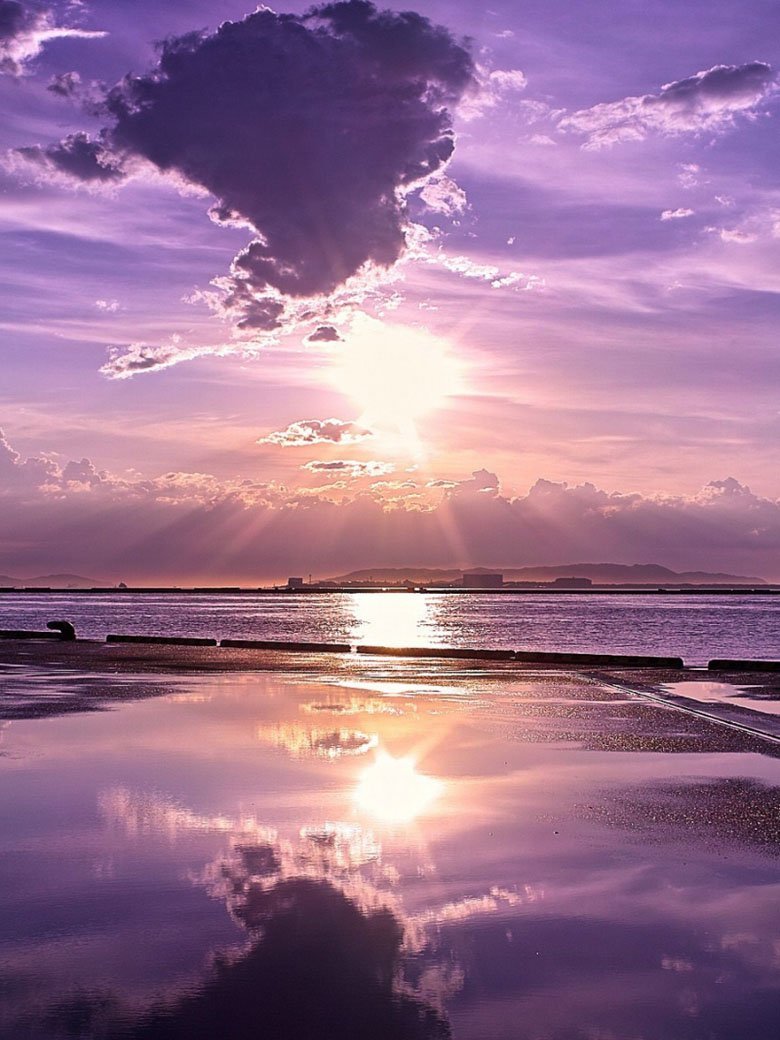 Цветы в пастельных тонах