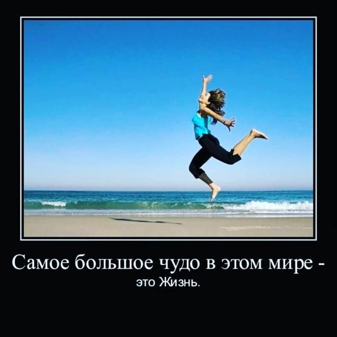 Добрый день с юмором