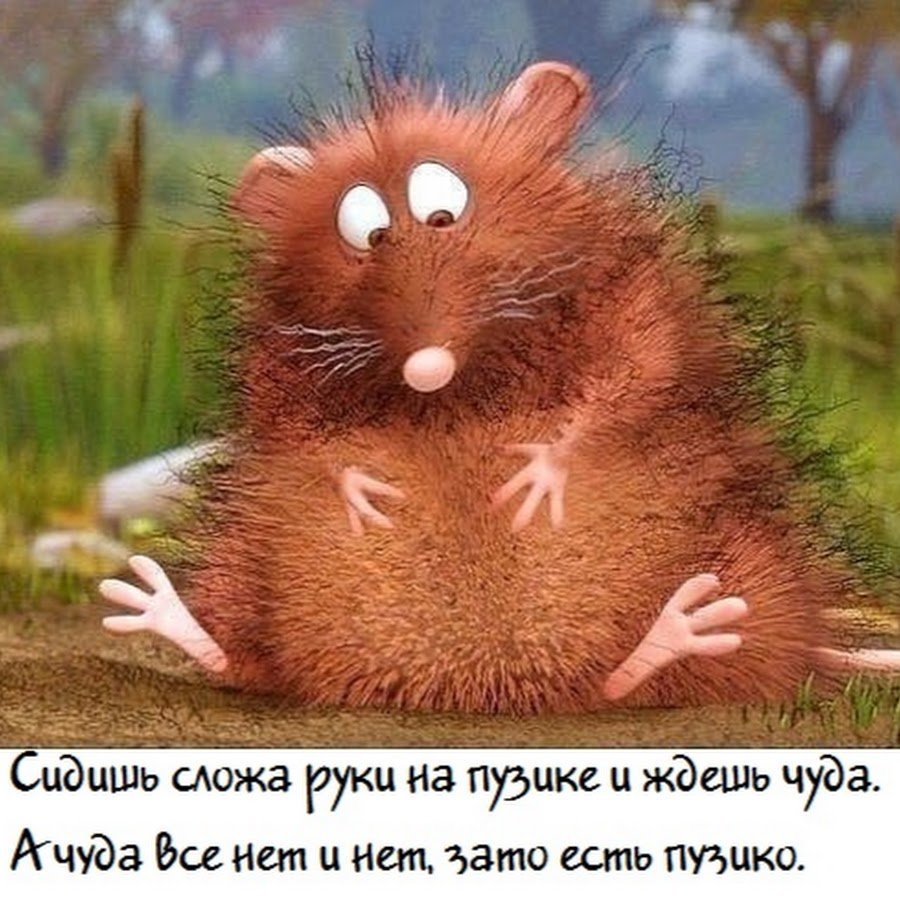 Смешные высказывания про день рождения