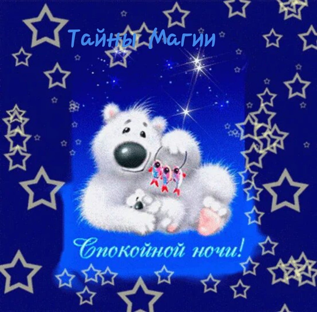 Спокойной зимней ночи