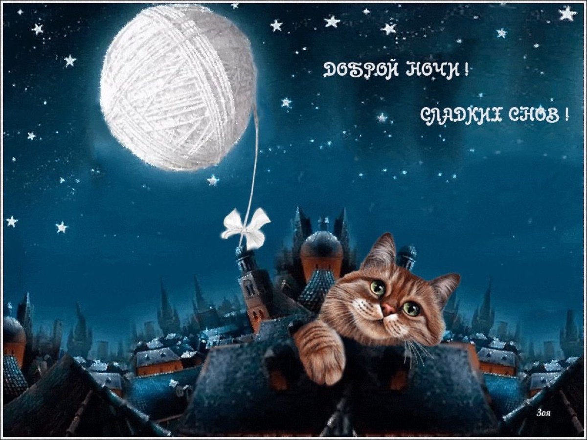 Уютного вечера и сладких снов