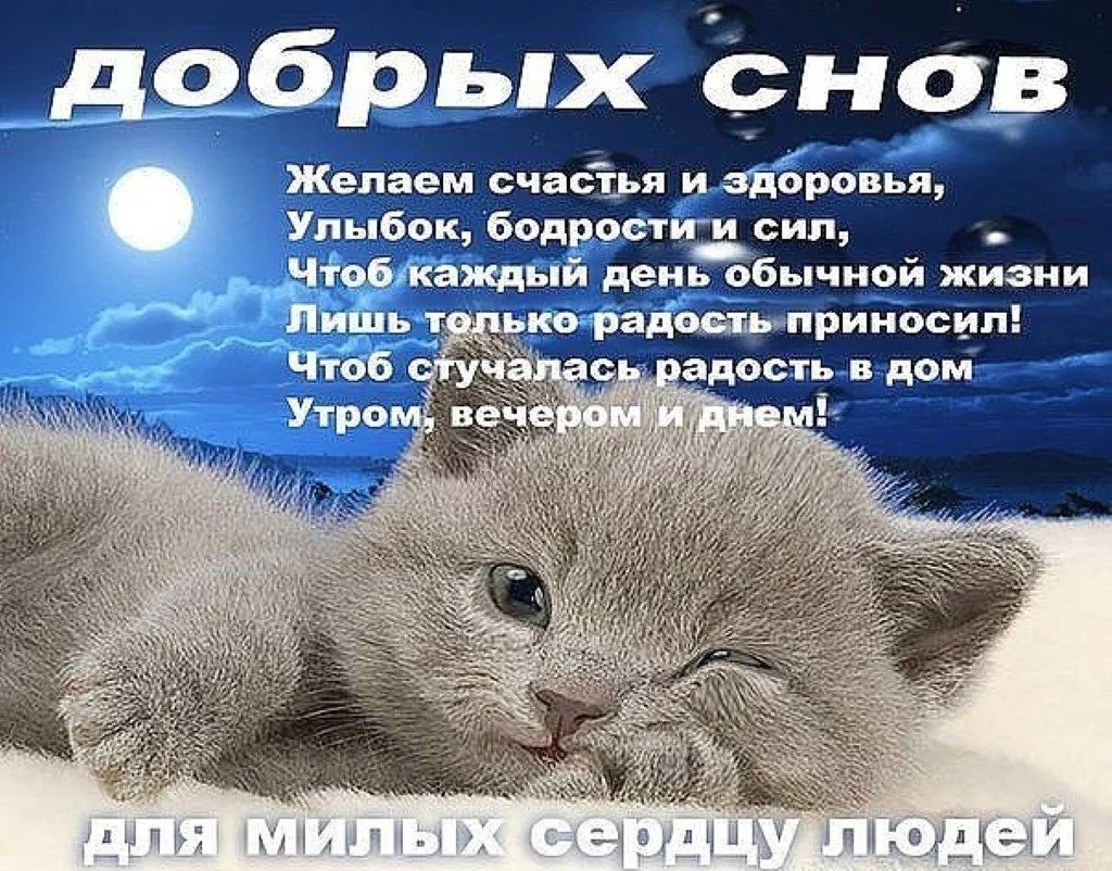 Доброй ночи спокойного сна