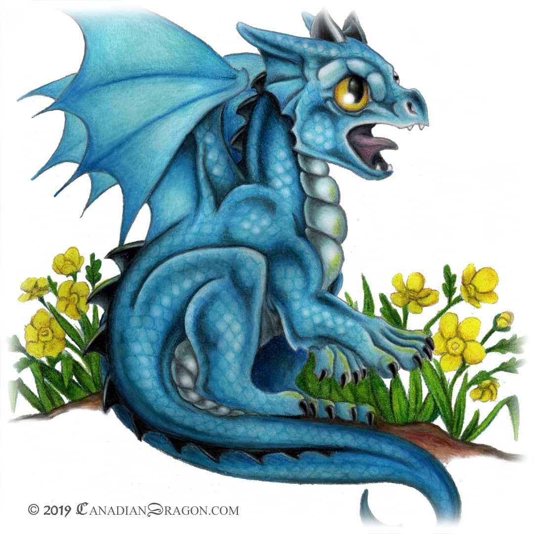 Маленький синий дракончик