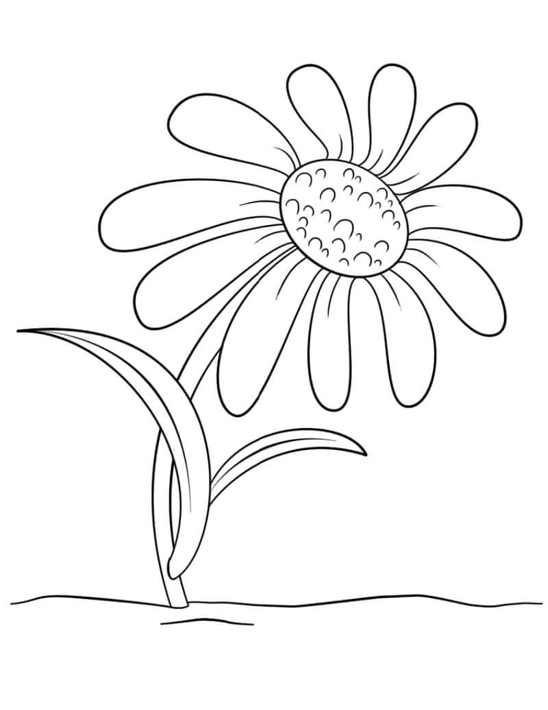 Ромашки раскраска для вырезания