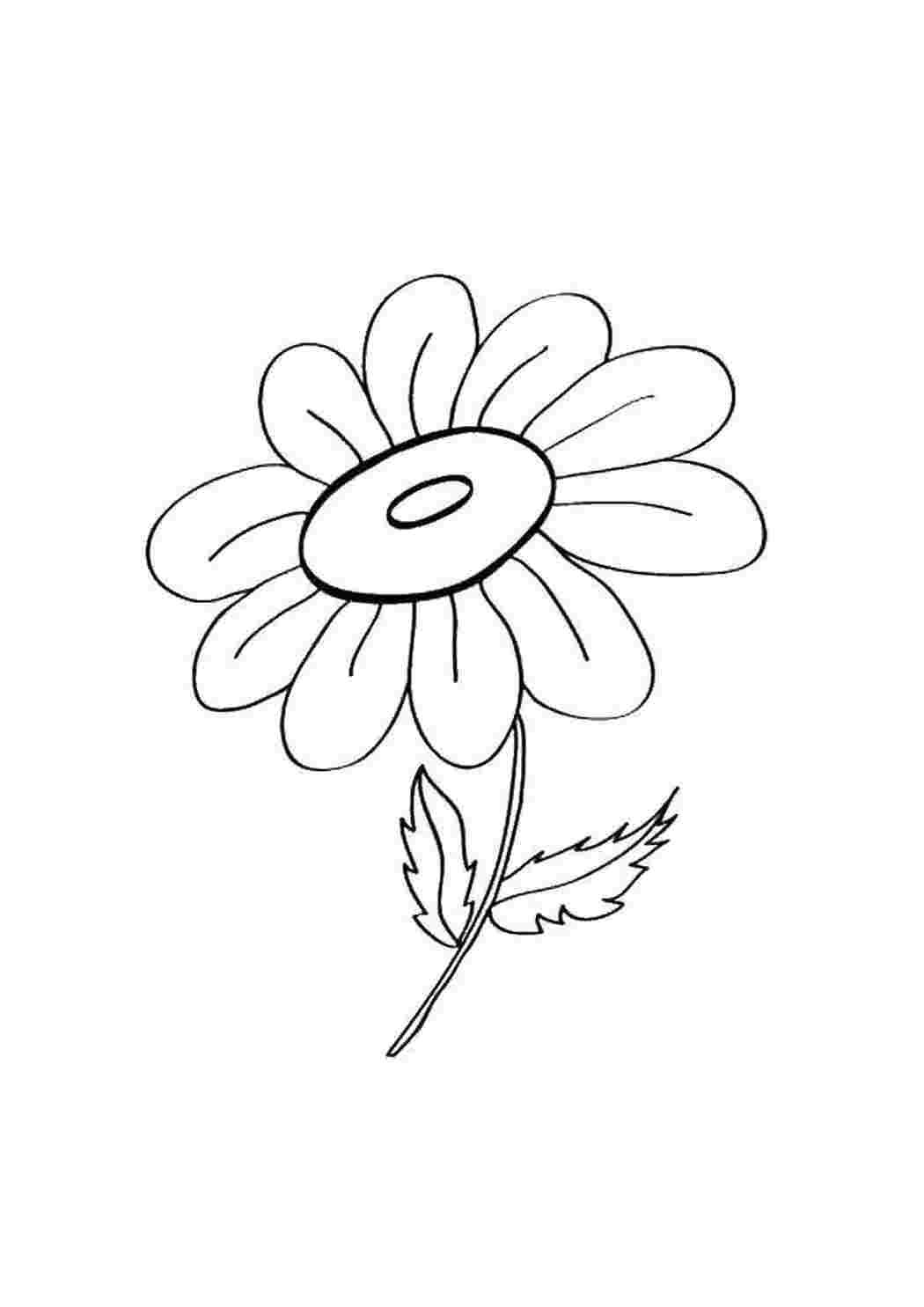 Трафарет ромашки