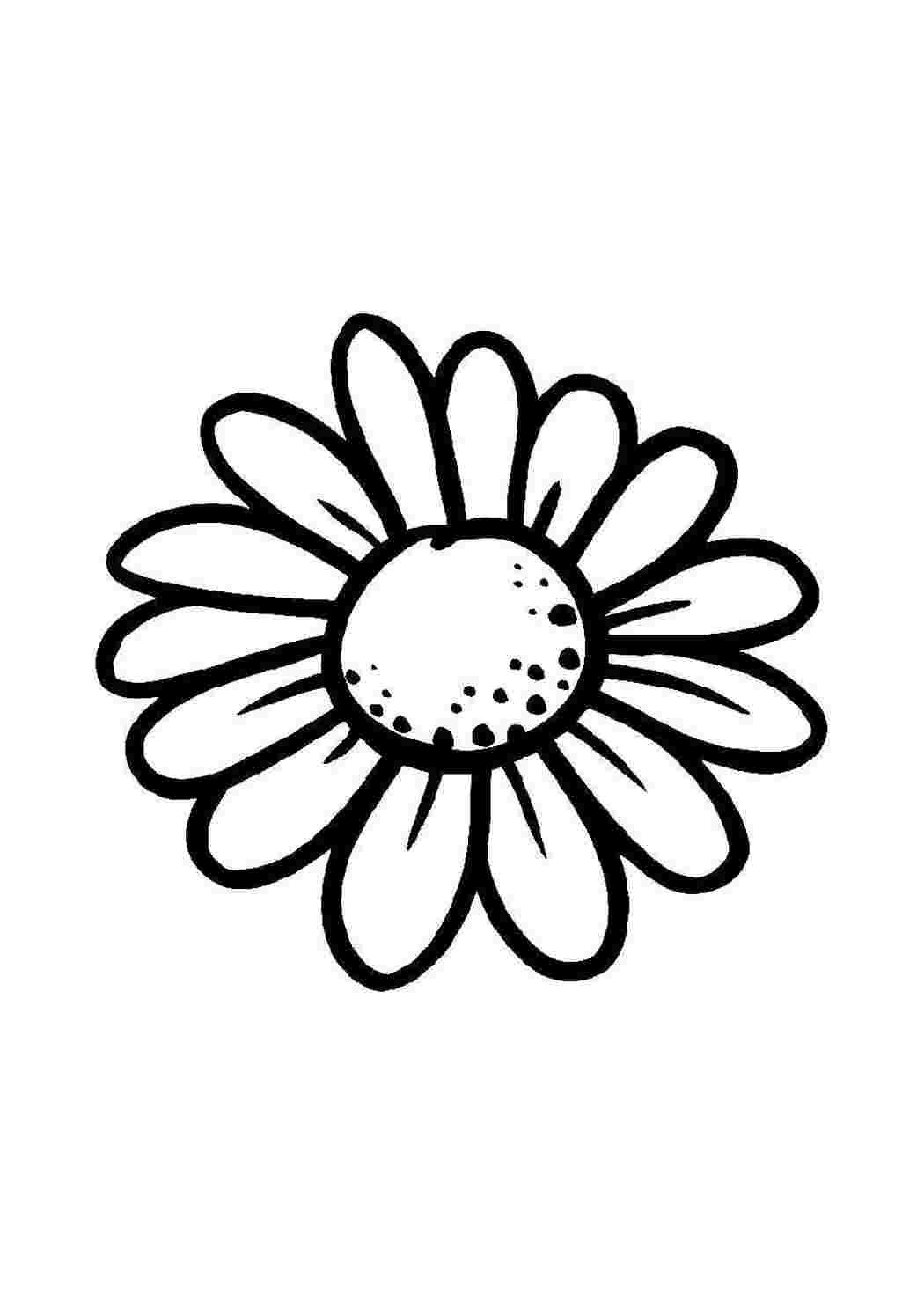 Цветы раскраска для детей без стебля