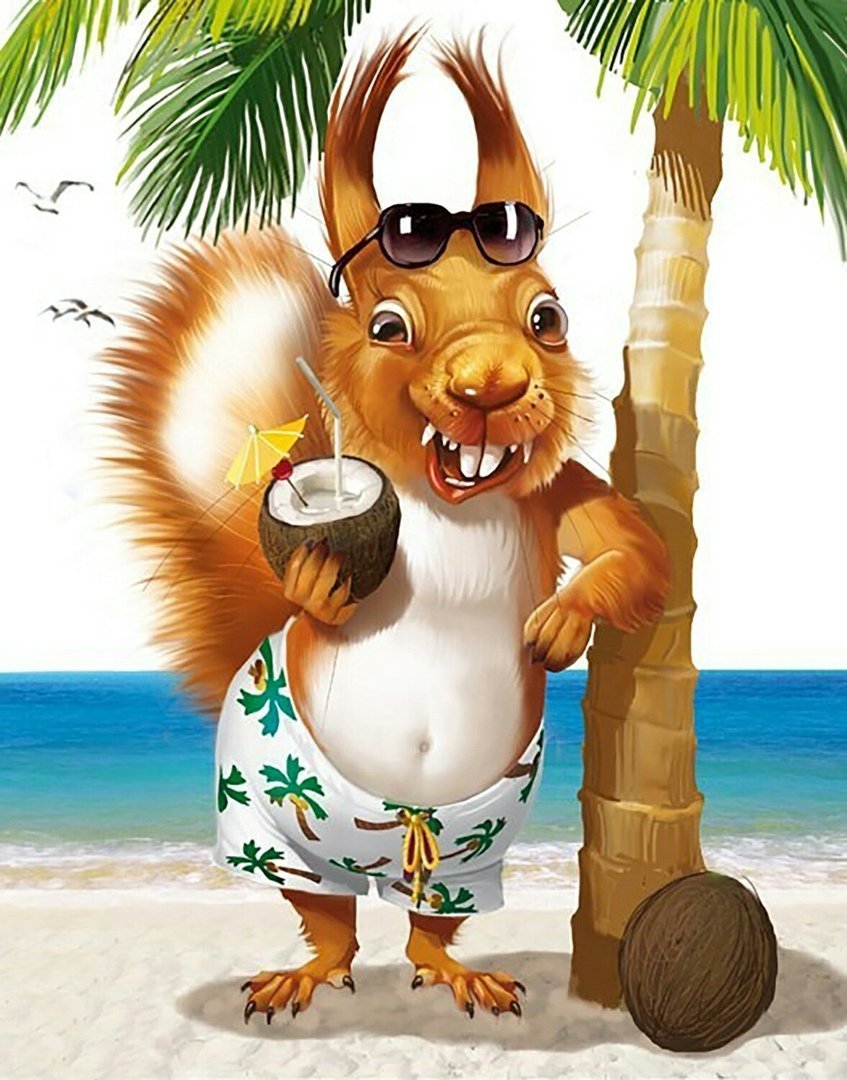 Веселые открытки