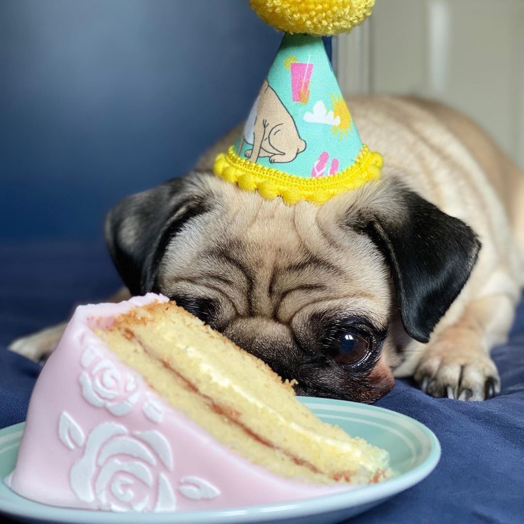 С днем рождения улыбайся