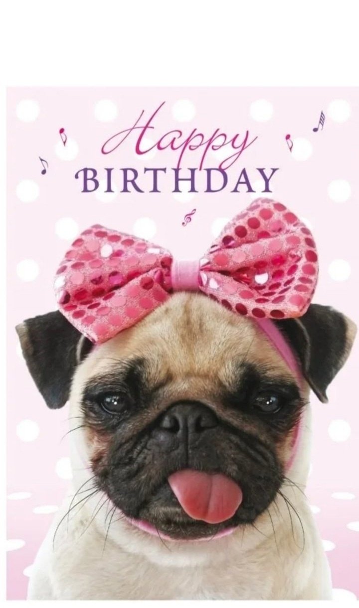 Поздравительная открытка с мопсом