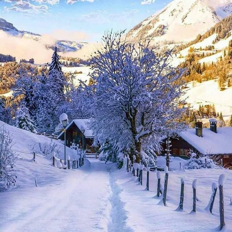 Снежный пейзаж