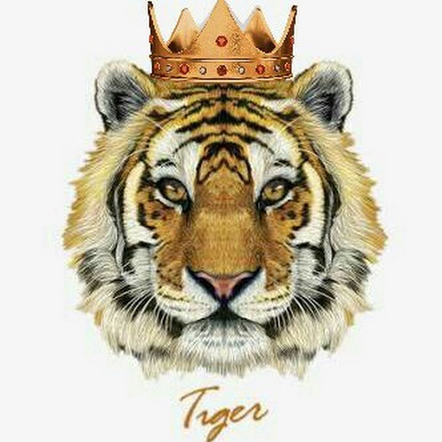Тигренок с короной