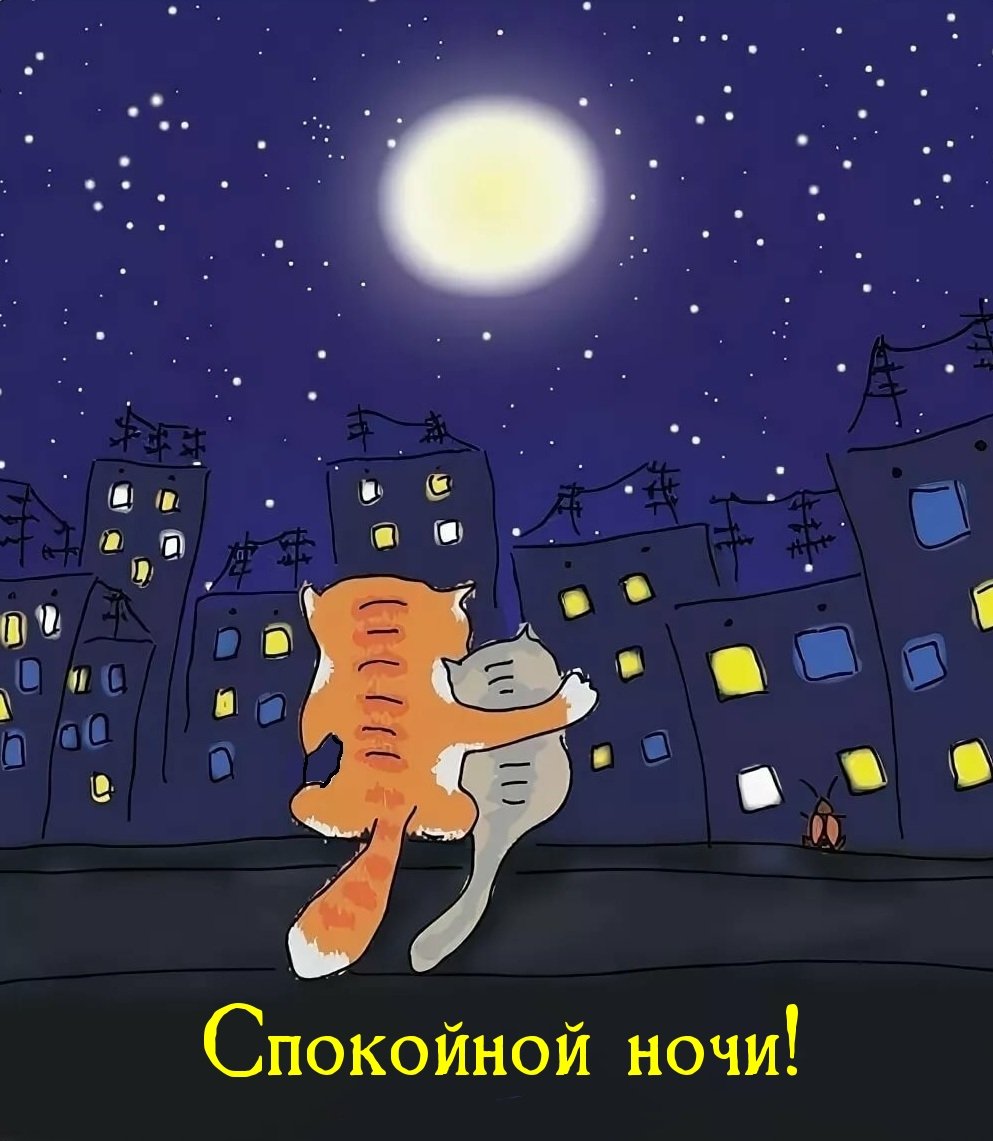 Спокойной ночи