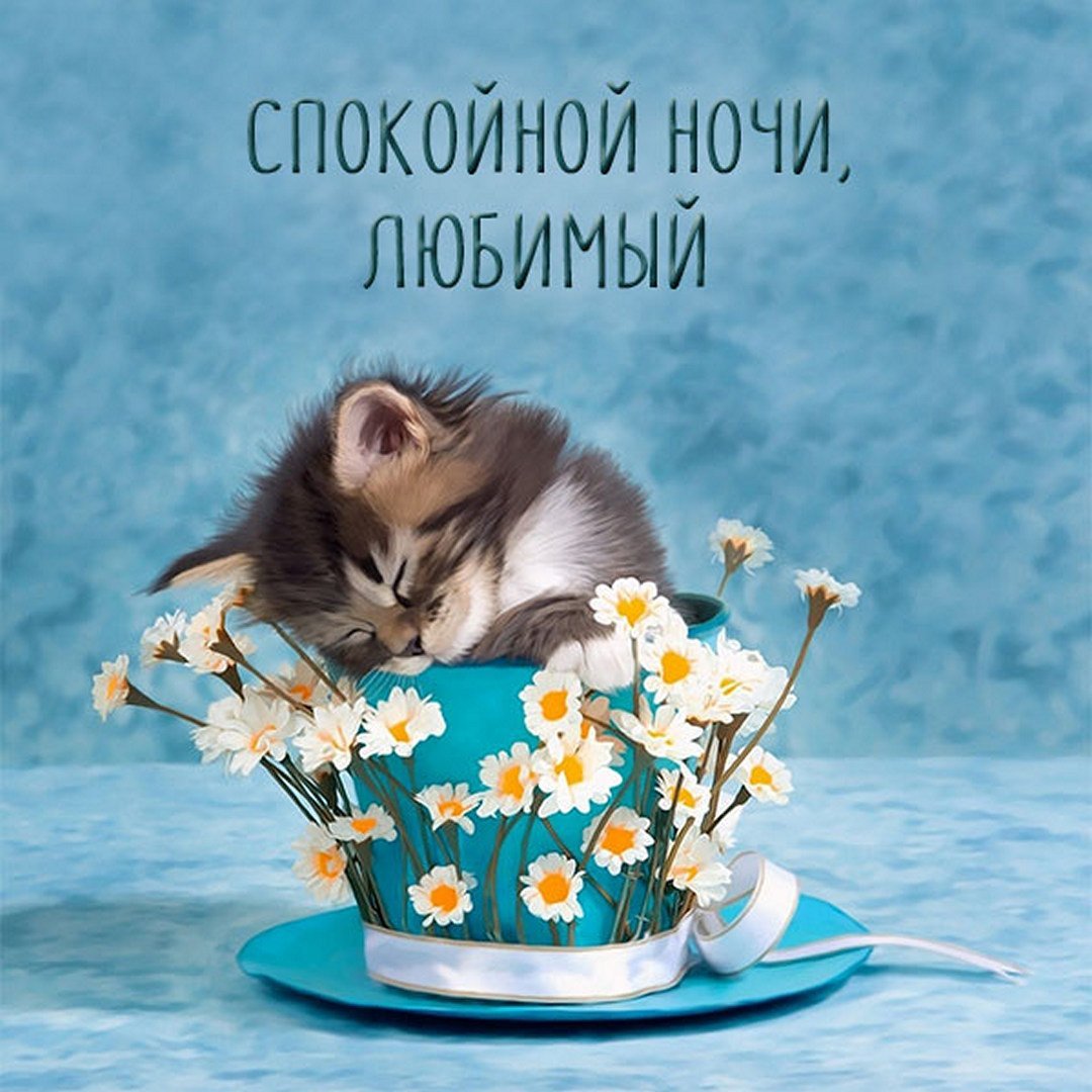 Доброе утро хорошего дня и прекрасного воскресенья