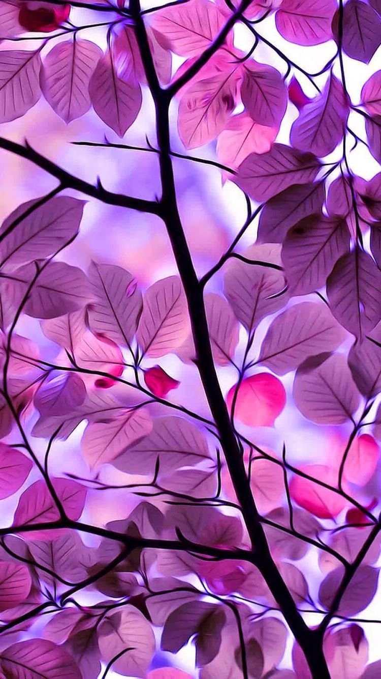 Фрактальная Графика