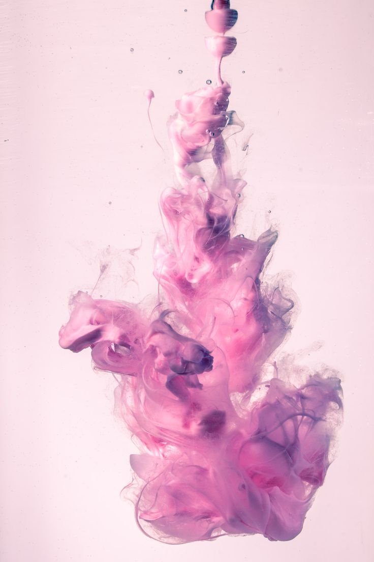 Цветы абстракция