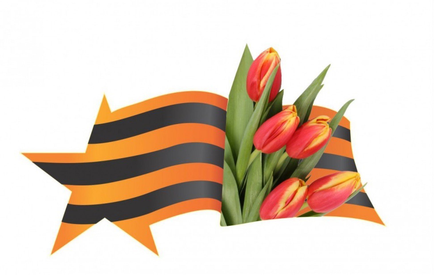 Картинка 9 мая на прозрачном фоне. Георгиевская ленточка с цветами. Цветы с георгиевской лентой. Цветы на 9 мая. Тюльпаны 9 мая.