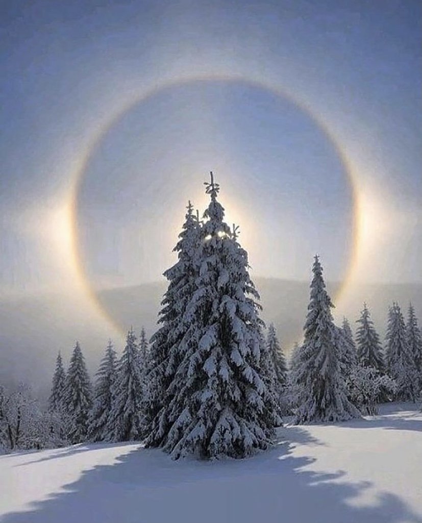 Декабрьский снег