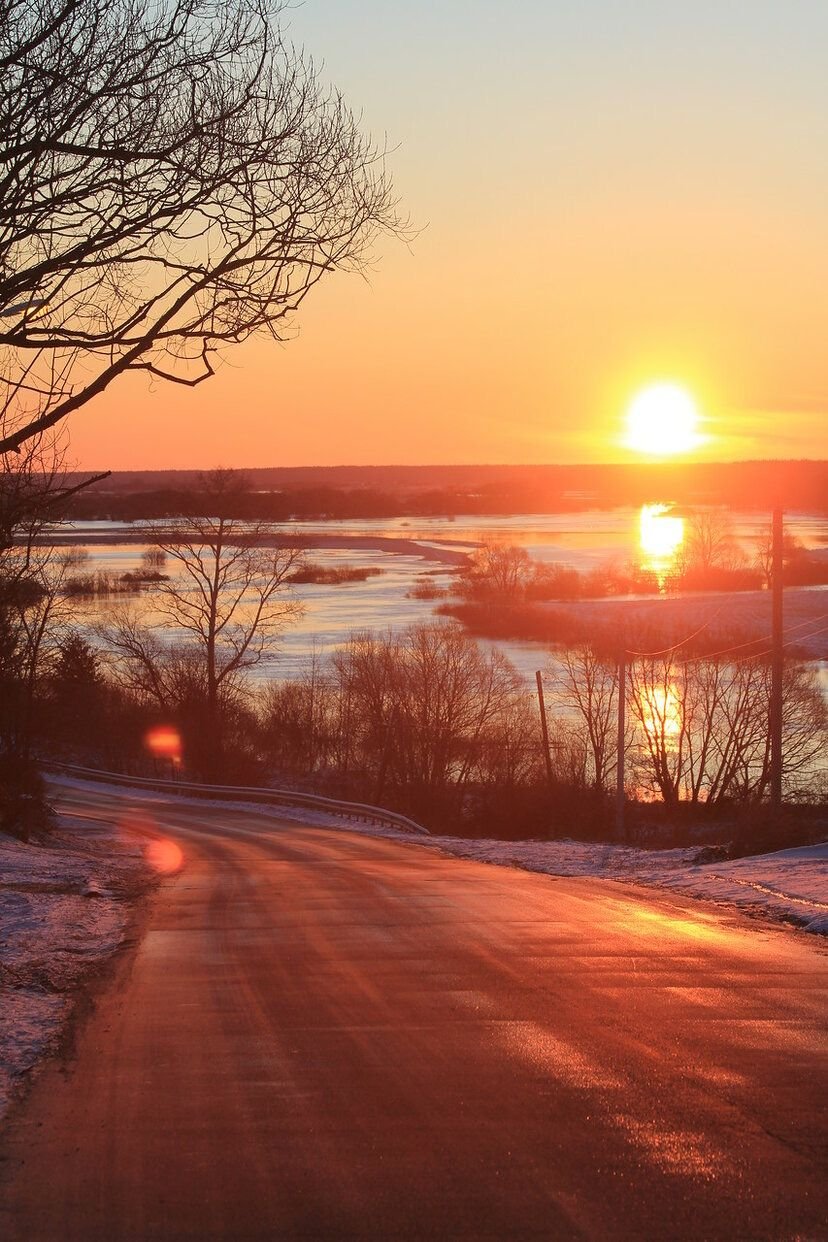 Снежное утро