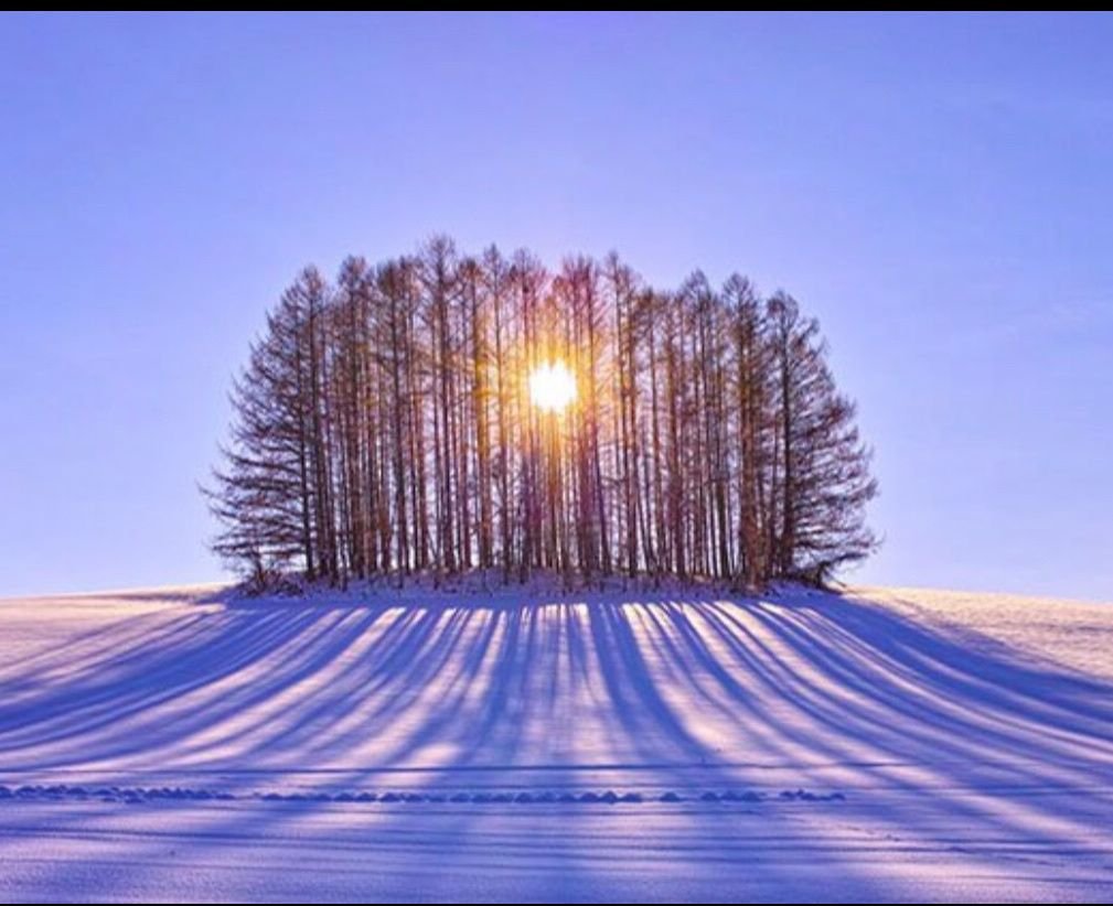 Морозное зимнее утро