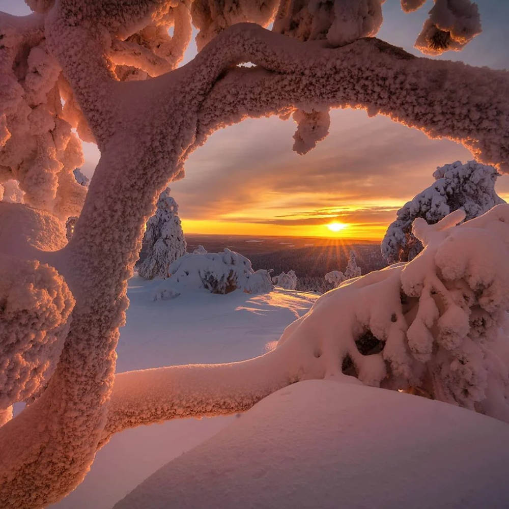 Солнечного морозного весеннего утра