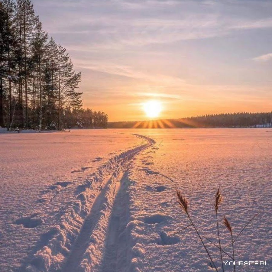 Невероятные зимние пейзажи