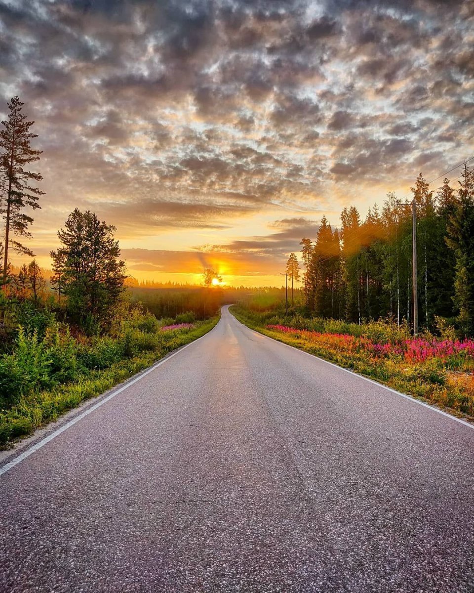 Природа дорога