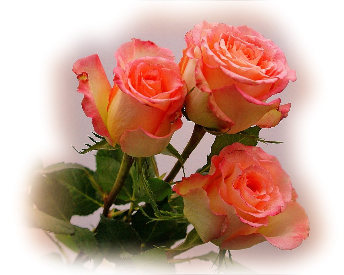 С днём рождения люблю тебя подружка