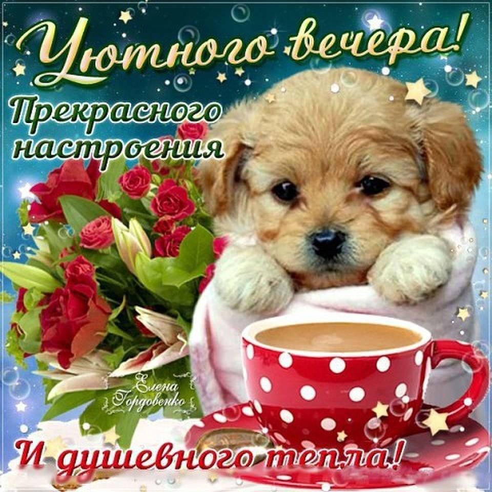 Прекрасного вечера надпись