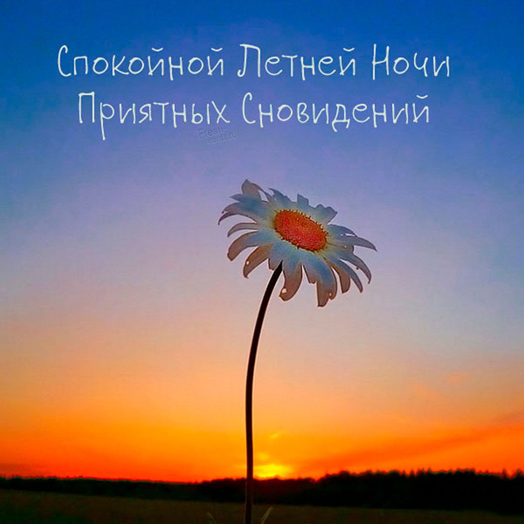 Спокойной ночи уточка