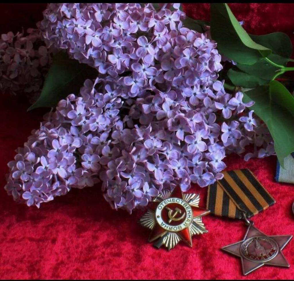 Сирень Победы Владимир Силкин книга