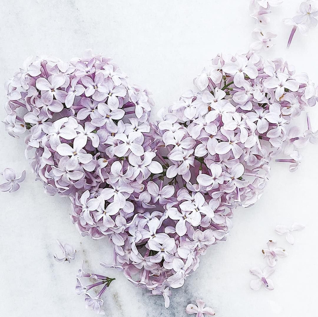 9 Мая плакат с сиренью