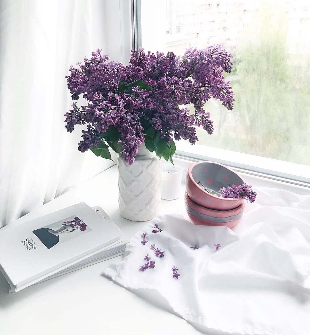 Сирень Эстетика