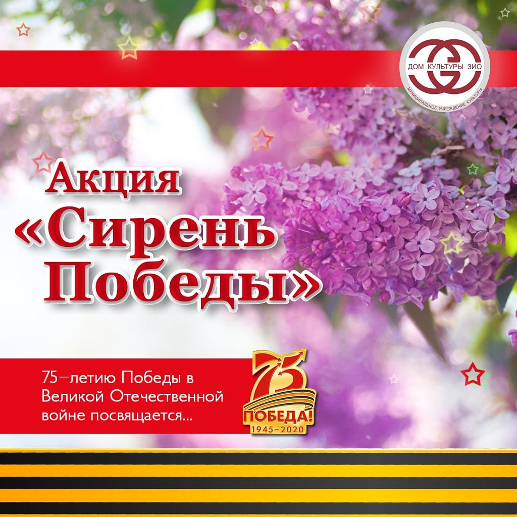 Сирень Победы акция