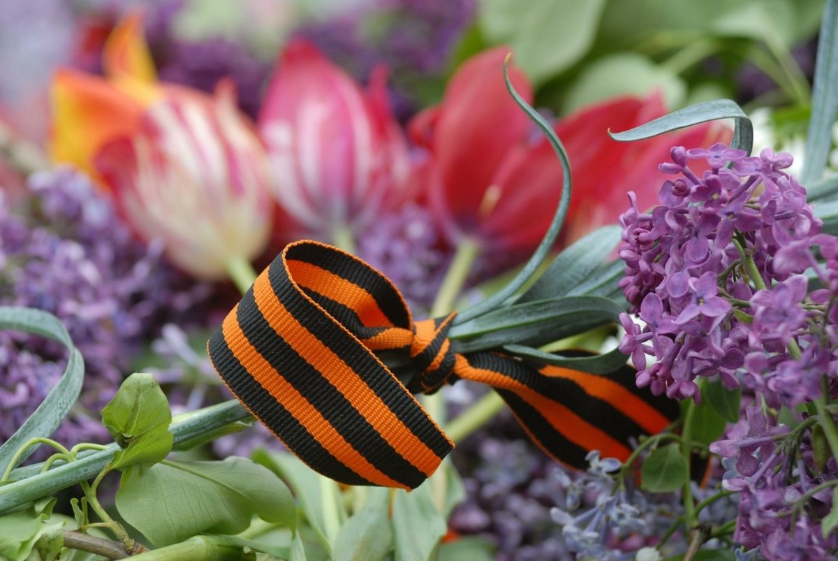 Сирень день победы картинки