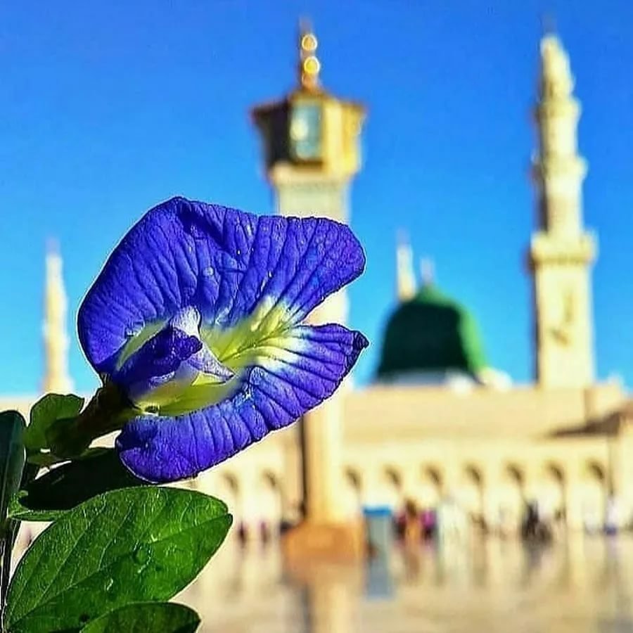 Пятница мусульманский день