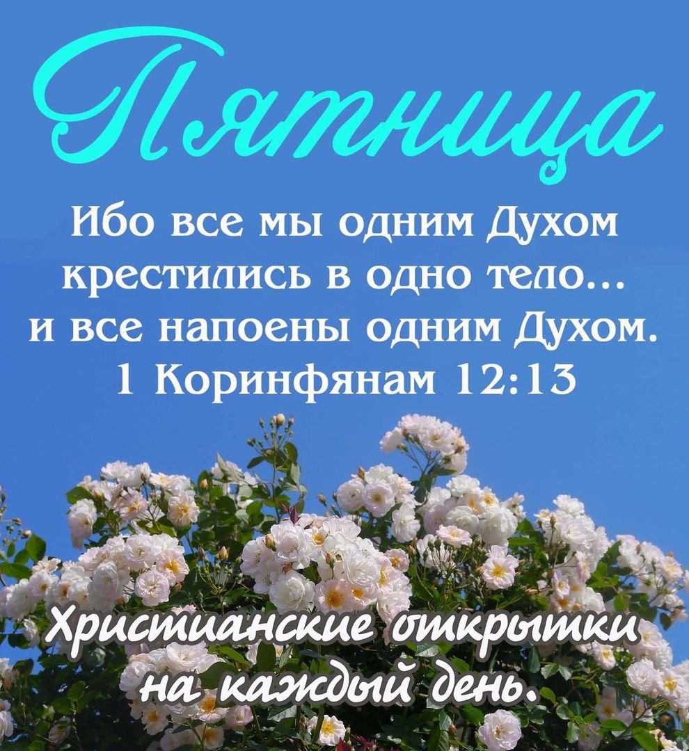 Пожелания мусульманину