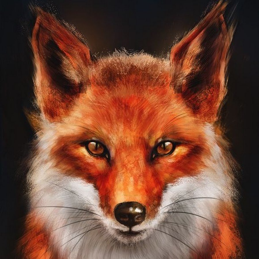 Аня Лисичка