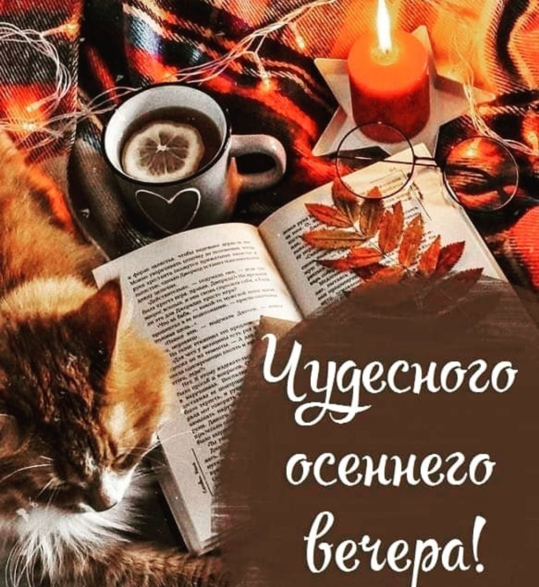 Доброго уютного зимнего вечера