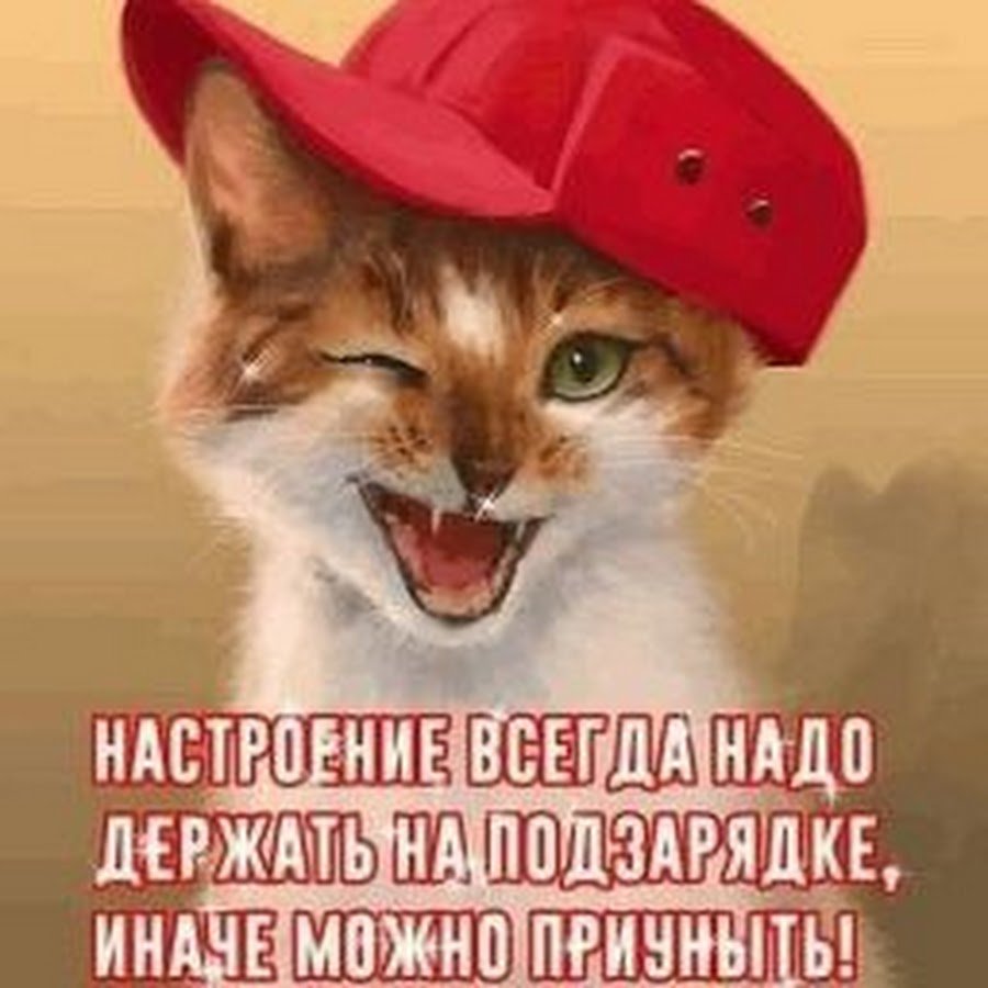 Открытки привет