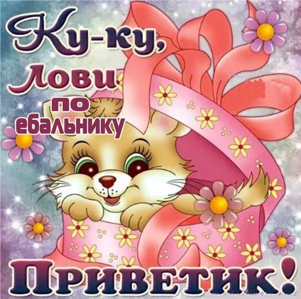 Приветик картинки прикольные